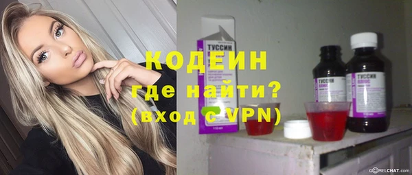 гашик Алексин