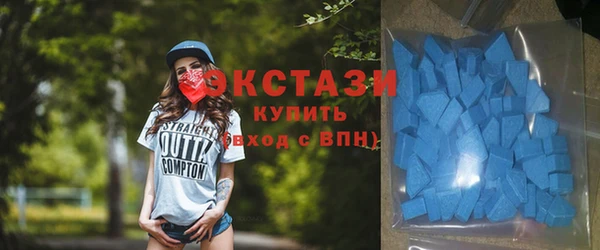 гашик Алексин