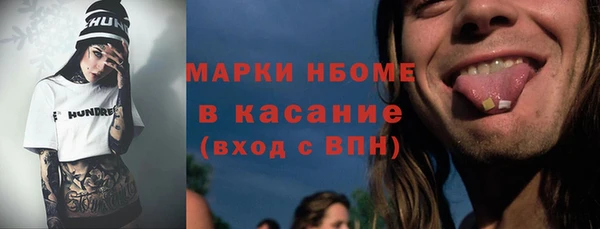 гашик Алексин