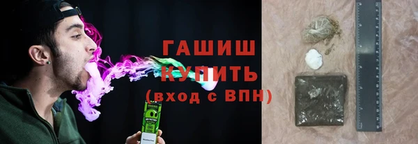 гашик Алексин