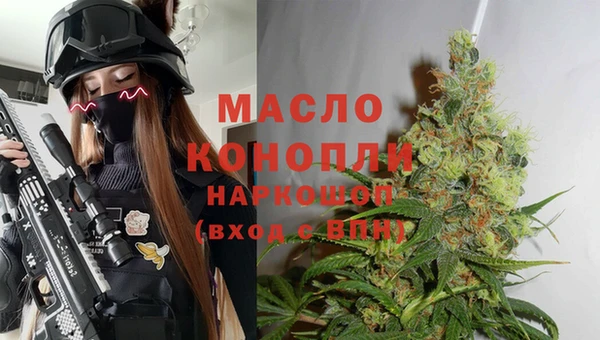 гашик Алексин