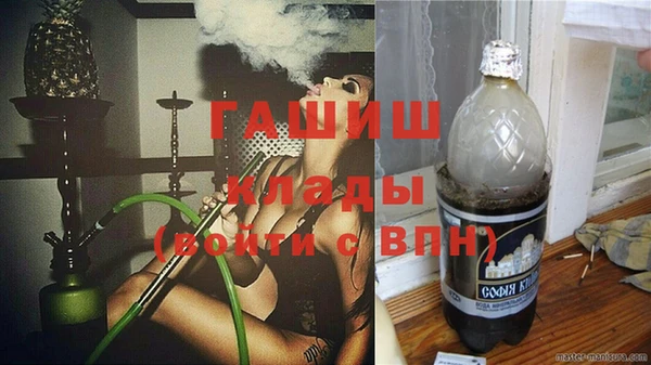 гашик Алексин