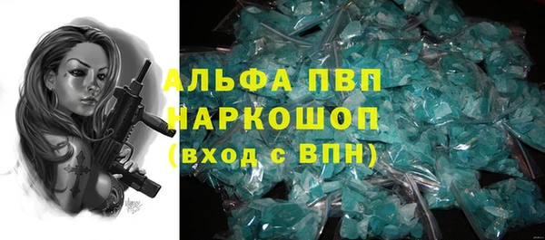 гашик Алексин