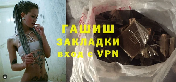 гашик Алексин